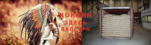 крисы Белокуриха
