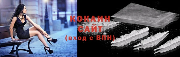 прущие крисы Бородино