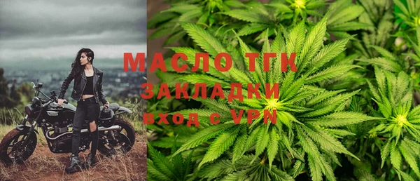 прущие крисы Бородино