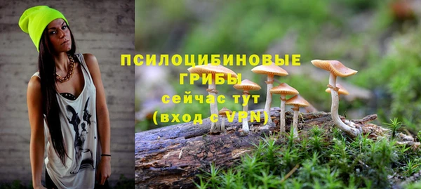прущие крисы Бородино