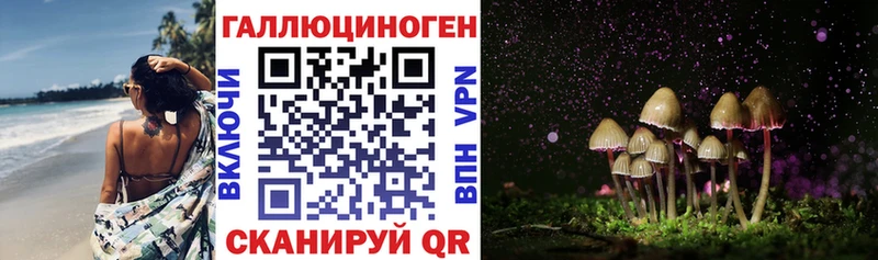 Псилоцибиновые грибы Cubensis Барыш