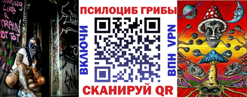 Псилоцибиновые грибы Psilocybe  Барыш 